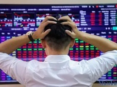 Dragon Capital chỉ ra nghịch lý trên thị trường chứng khoán, gọi tên hai cổ phiếu đang bị định giá thấp hơn giá trị