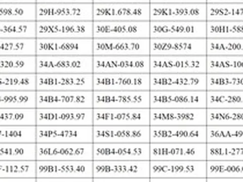 884 chủ phương tiện trong danh sách dưới đây nhanh chóng nộp phạt nguội theo Nghị định 168