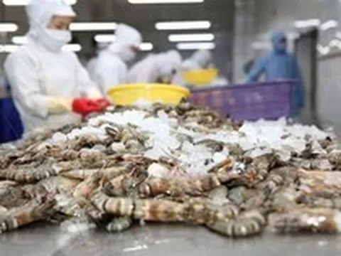 Công ty thủy sản đầu tiên mở màn kết quả quý II: Doanh số 6 tháng giảm gần 21%