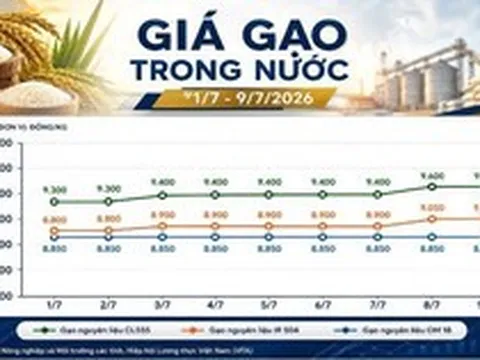 Thị trường hàng hóa ngày 9/7: Hồ tiêu phục hồi, cao su giữ đà tăng
