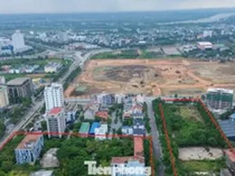 Khu 'đất vàng' hơn 4ha đấu giá thành công vẫn chịu cảnh bỏ hoang nhiều năm