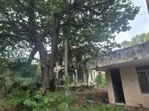 Cận cảnh hàng loạt trụ sở 'hoang phế' tại trung tâm Vũng Tàu