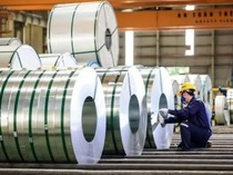 Hoa Sen ước tính hoàn thành 114% kế hoạch lợi nhuận niên độ tài chính 2025 - 2026 sau 9 tháng