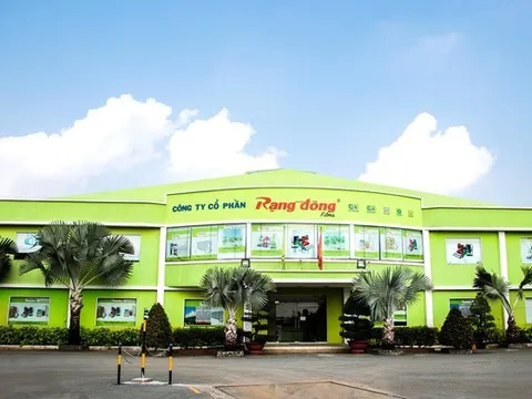 Rạng Đông Holding "rời sàn" UPCoM từ ngày 17/7