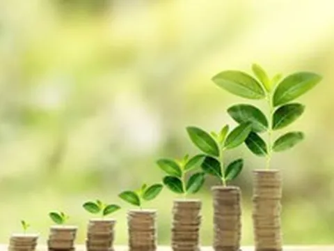 Giải pháp thúc đẩy dòng vốn xanh đến tận hộ gia đình, doanh nghiệp: Bài học từ kinh nghiệm quốc tế