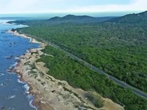 Khám phá kho báu hơn 10.000 ha do TPHCM quản lý