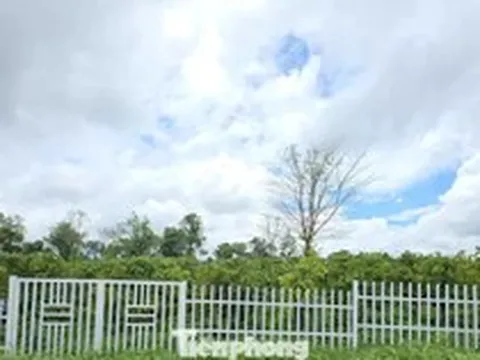 Vụ 'Làng An Yên 38 hộ dân' ở Đắk Lắk: Lật tẩy chiêu trò 'lùa gà'