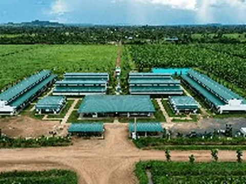 Công ty nông nghiệp của tỷ phú Trần Bá Dương báo lãi gấp 6 lần, nợ vượt 2,59 tỷ USD