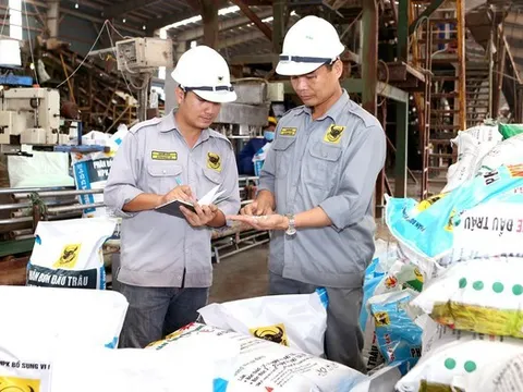 Phân bón Bình Điền chi hơn 200 tỷ đồng trả cổ tức tiền mặt 2025