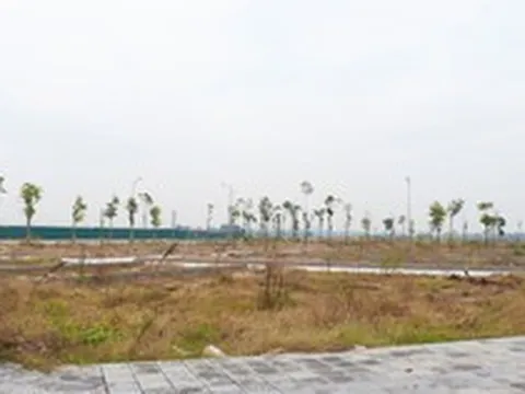 Đấu giá đất đã qua thời kỳ phải mua bằng mọi giá