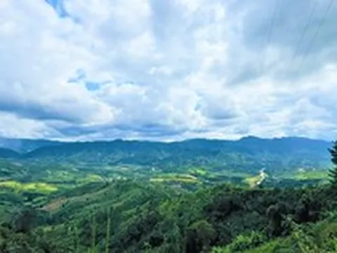 Quảng Ngãi: Cho phép khai thác hơn 40ha rừng để đầu tư khu đô thị Măng Đen