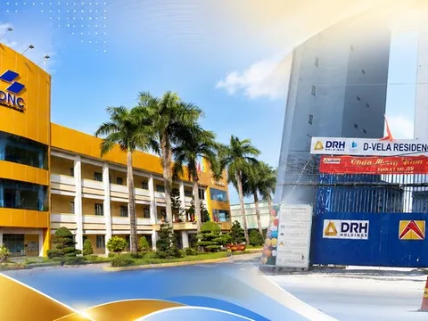 DRH Holdings và một doanh nghiệp vật liệu bị xử phạt hàng trăm triệu đồng