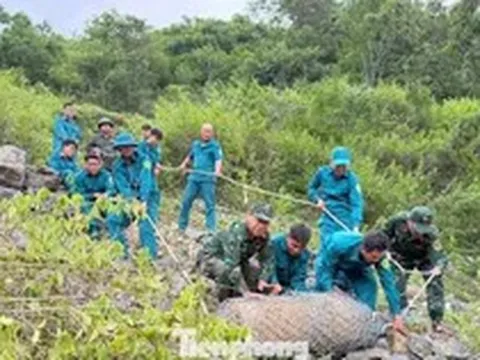 Đào móng làm nhà phát hiện quả bom nặng 350 kg còn nguyên kíp nổ