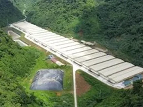 Ba người tử vong do tai nạn ở trang trại nuôi lợn tại Thanh Hóa