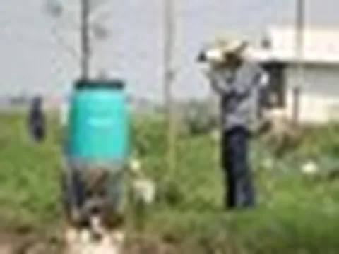 Quỹ hưu trí quốc gia của nước láng giềng Việt Nam có nguy cơ mất trắng 1.200 tỷ đồng