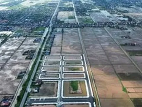 Đất đấu giá vùng quê 'hạ nhiệt' sau bỏ cọc hàng loạt, có lô giảm gần 1 tỷ đồng