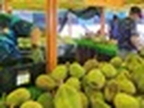 Quá nhiều sầu riêng, một đối thủ của Việt Nam tính mở tuyến đường bộ sang Trung Quốc để giảm chi phí, đang xuất khẩu 40 tấn mỗi ngày bằng máy bay