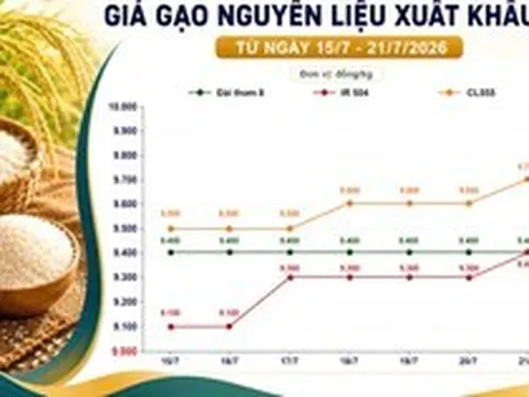 Thị trường hàng hoá 21/7: Gạo nguyên liệu nhích giá, cao su quốc tế duy trì sắc xanh