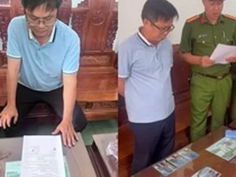 Khởi tố giám đốc Dương Nhật Long và chủ hộ kinh doanh Nguyễn Thị Túy Phượng