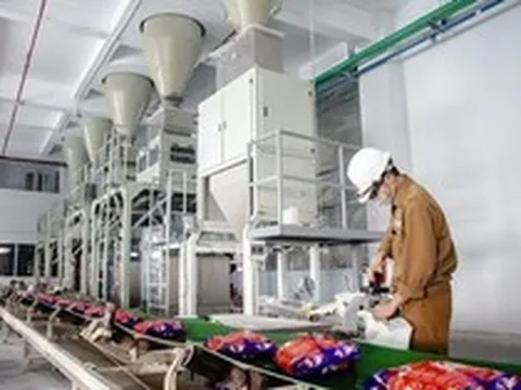 Hóa chất Đức Giang (DGC) muốn chia cổ tức bằng tiền mặt tỷ lệ 80%, lợi nhuận sau thuế quý 2/2026 giảm 50%