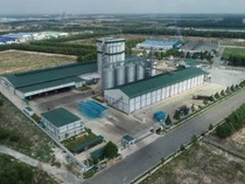 Từ năng suất đến phát triển bền vững: Bài toán mới của ngành chăn nuôi Việt Nam