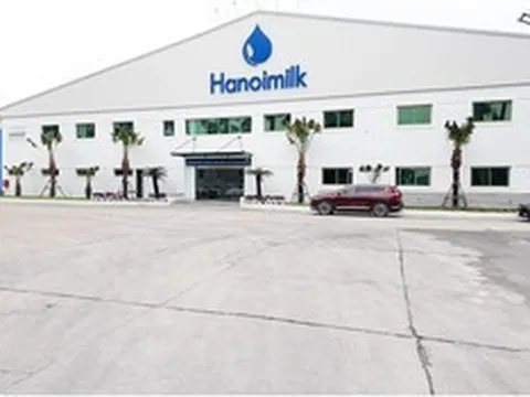 Hanoimilk báo lãi quý II/2026 tăng hơn 56%