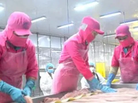 Thủy sản Việt Nam xuất Trung Quốc nhiều nhất