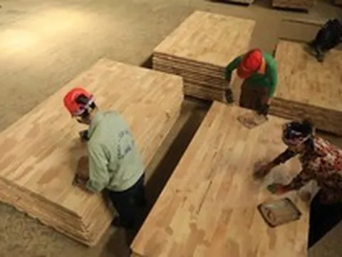 Nguy cơ ngành gỗ thiếu nguyên liệu sản xuất