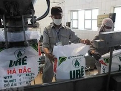 "Quả đấm thép" một thời ngành phân bón báo lãi gấp 15 lần cùng kỳ, vẫn lỗ lũy kế 1.240 tỷ đồng