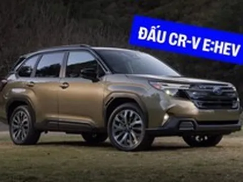 Subaru Forester hybrid nhận cọc tại Việt Nam: Dự kiến ra mắt tháng 10/2026, giá khoảng 1,5 tỷ đồng