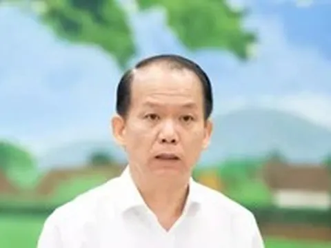 Bộ trưởng Tư pháp: ‘Phân lô bán nền đất ở là nơi xảy ra trục lợi lớn nhất’