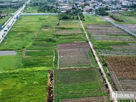 9 trường hợp không được bồi thường khi Nhà nước thu hồi đất theo dự thảo luật mới