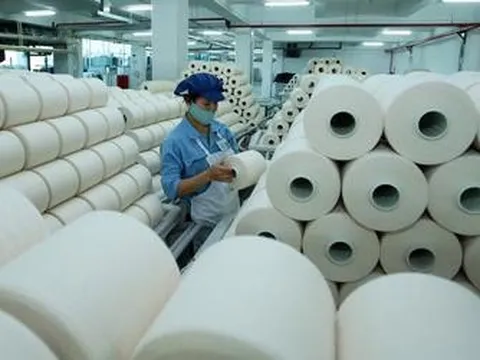 Sợi Thế Kỷ báo lỗ gần 73 tỷ đồng sau 6 tháng