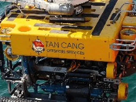 Dịch vụ biển Tân Cảng (TOS) báo lãi tăng trưởng trước thềm chuyển sàn HoSE