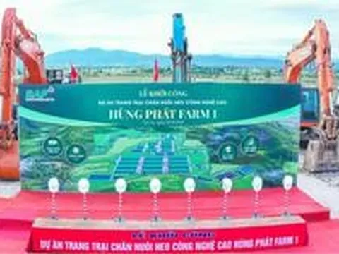 BAF 6 tháng đầu năm 2026: Tăng 61% sản lượng heo so với cùng kỳ năm trước, đẩy mạnh đầu tư cho chu kỳ tăng trưởng mới