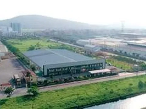 Giá lợn hơi giảm kéo lãi ròng quý II/2026 của Dabaco ‘đi lùi’ 43%