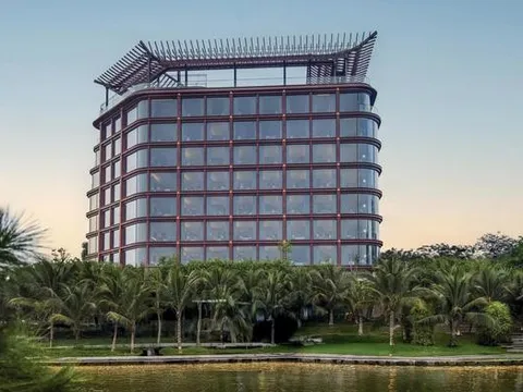 Doanh thu 6 tháng năm 2026 của OCH đạt mức kỷ lục trong 20 năm