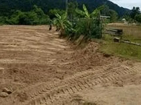 San đất để làm vườn, người dân Việt Nam phát hiện vật hình hộp màu xanh lạ, chuyên gia xác nhận báu vật hiếm có 600 năm   tuổi