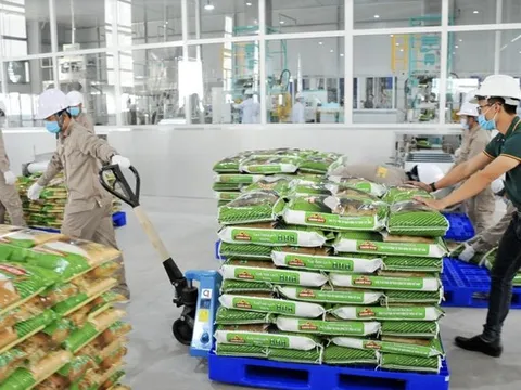 Doanh thu quý II của Vinaseed giảm gần 25%, hàng tồn kho vượt 1.000 tỷ đồng