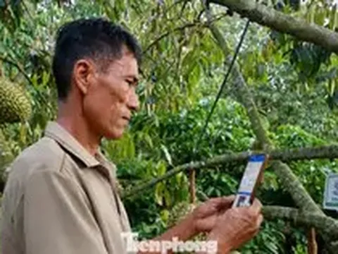 Tiết lộ về 'tờ giấy quyền lực' xuất khẩu sầu riêng