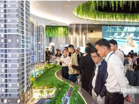 Rà soát, truy thu thuế với bác sĩ, luật sư, môi giới bất động sản