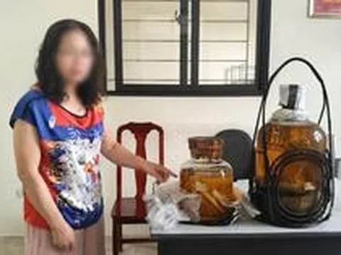 Lệnh bắt khẩn cấp người phụ nữ 55 tuổi mua bình rượu rắn hổ mang chúa