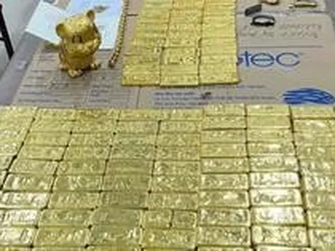 Hàng trăm miếng vàng thu giữ tại nhà bạn gái Mr Pips định giá hơn 222 tỷ đồng