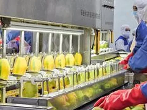 Nafoods Group lãi hơn 140 tỷ đồng sau 6 tháng, hàng tồn kho tăng hơn gấp đôi