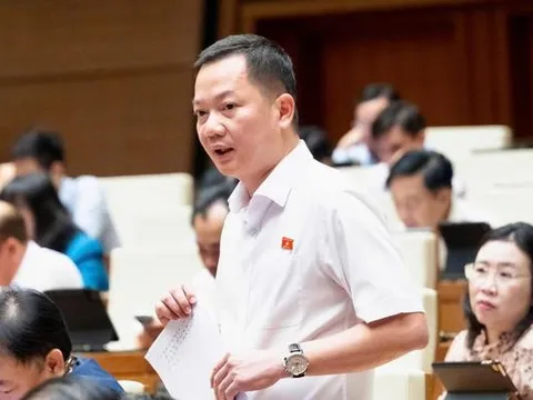Kiến nghị đưa kim cương vào ngành nghề kinh doanh có điều kiện