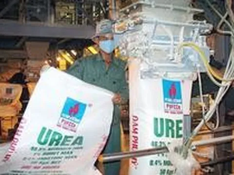 Đạm Phú Mỹ (DPM) bất ngờ "rót" hơn 130 tỷ đồng cho một khoản chi hiếm thấy