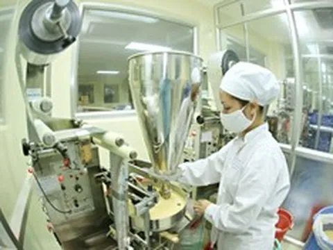 Chưa đạt nửa kế hoạch năm 2026, Traphaco chịu áp lực tăng trưởng 2 con số