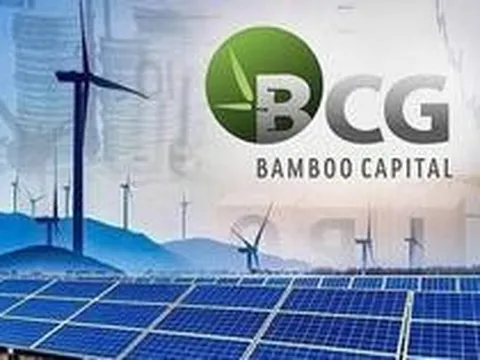 Bamboo Capital bị huỷ tư cách công ty đại chúng