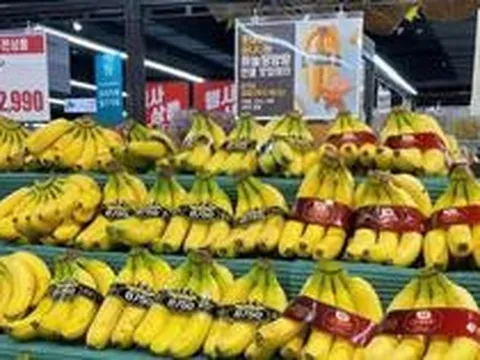 Công ty con của HAGL chốt thời gian IPO 18,8 triệu cổ phiếu