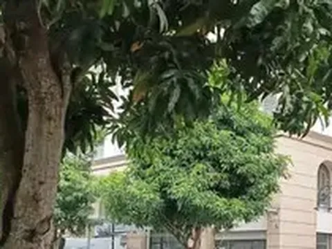 Nóng: Khám xét nơi ở của Huấn Hoa Hồng
